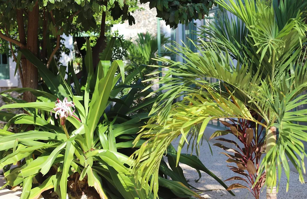 Nuik Casa Tropical-1