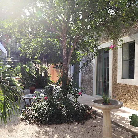 Nuik Casa Tropical-3